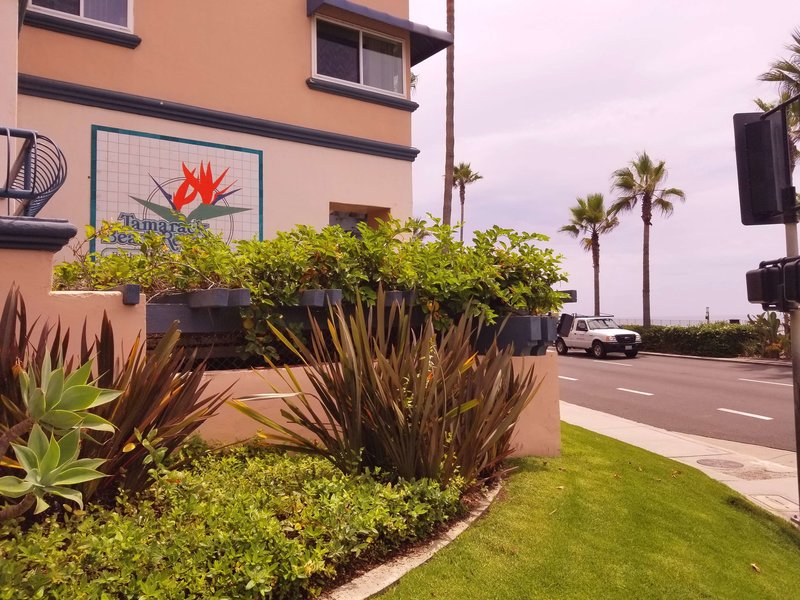 Tamarack Beach Resort Hotel - 1045