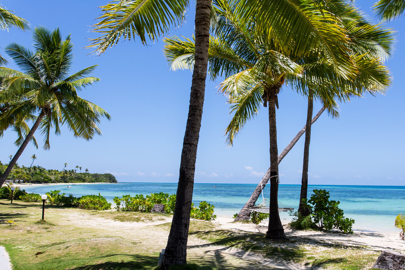 Plantation Island Resort - 659