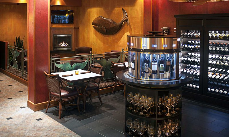 The Hotel Captain Cook - 671