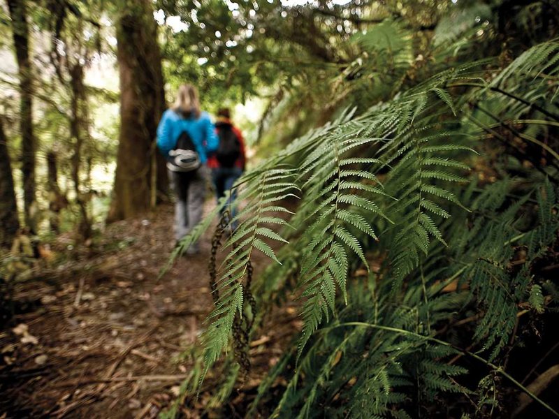 Fairmont Resort Blue Mountains, Mgallery By Sofitel - 716