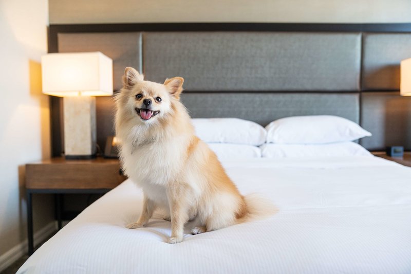 Doubletree San Diego Mission Valley - 758