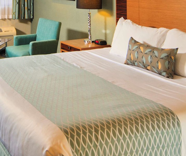 Accent Inn Victoria - 462