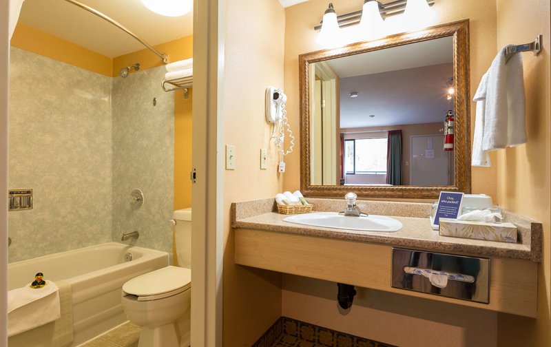 Accent Inn Victoria - 462