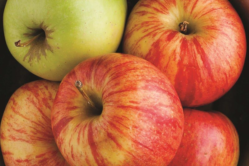 La Quinta Inn & Suites Lax - 795