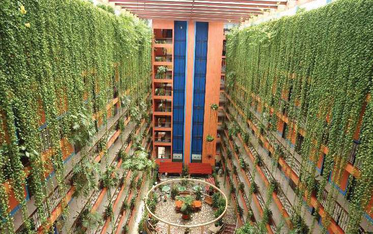 Hotel Tortuga Acapulco - 797