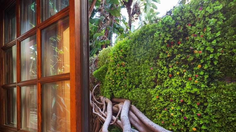 Best Western Plus Sunset Plaza - 802