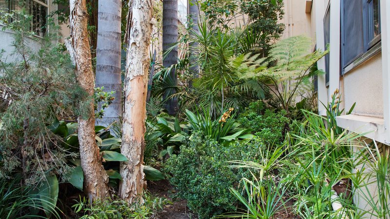 Best Western Plus Sunset Plaza - 802