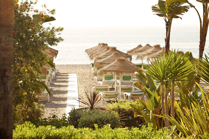 Hotel Ms Amaragua - 466