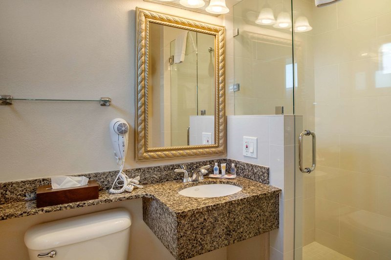 Comfort Inn At The Harbor - 823