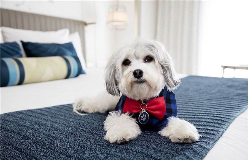 Nikko San Francisco - 828