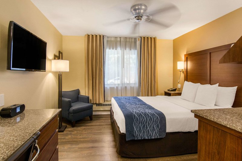 Comfort Inn Gaslamp/convention Center - 831