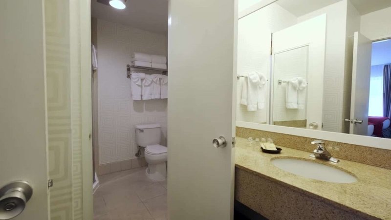 Americania Hotel - 485