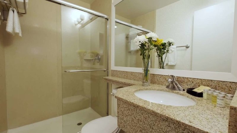 Americania Hotel - 485