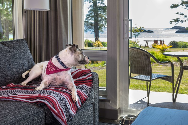 Best Western Plus Tin Wis Resort - 497