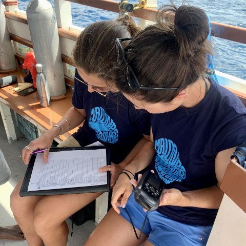 Secret Paradise Maldives - 277