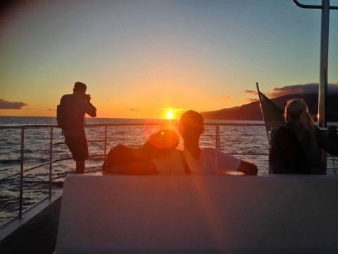 Adventure Travel In Madeira - 298