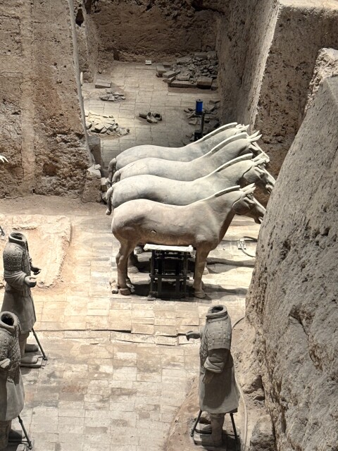 The Terracotta Warriors - 1404