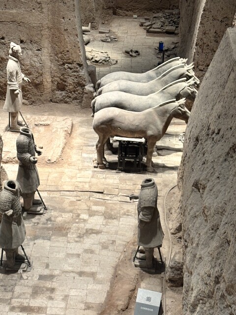 The Terracotta Warriors - 1404