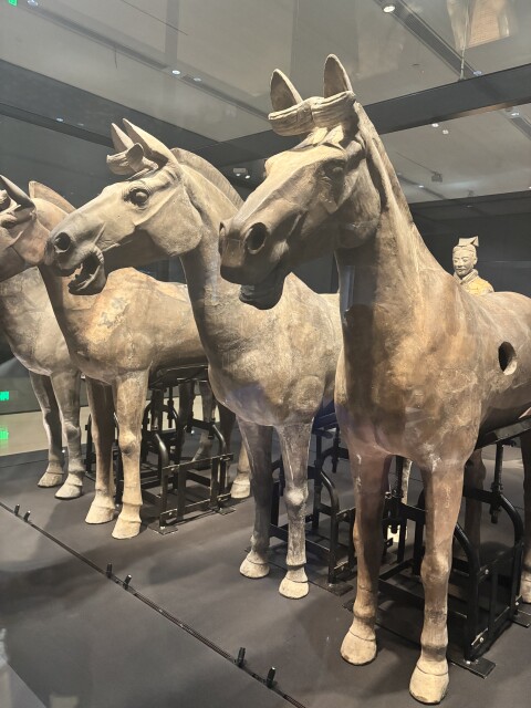 The Terracotta Warriors - 1404