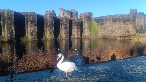 Guided Tour - Three Castles, Tintern Abbey And A Roman Amphitheatre - 1303