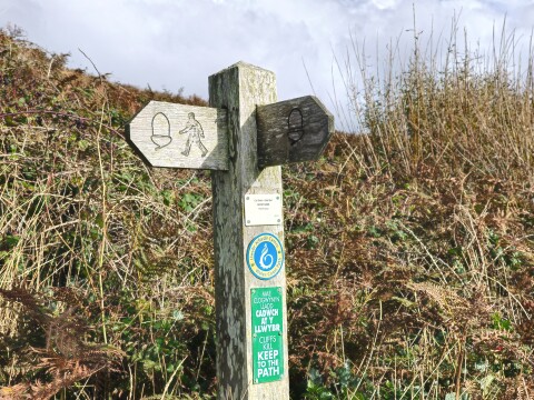 Three Day Tour Of Pembrokeshire, South West Wales - 1365