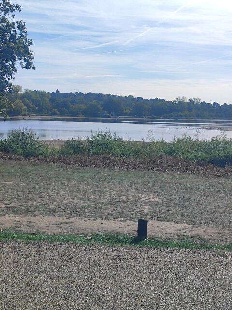 Aldenham Country Park - 1416