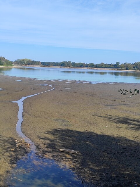 Aldenham Country Park - 1416