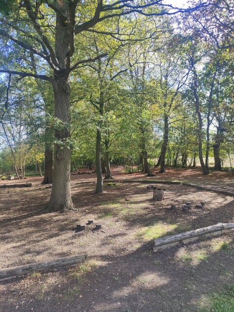 Aldenham Country Park - 1416