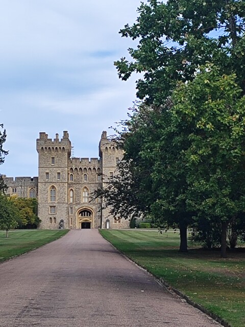 The Long Walk At Windsor Great Park - 1417