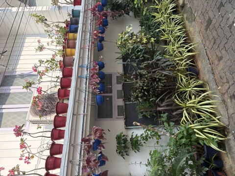 Fort Kochin - 1419