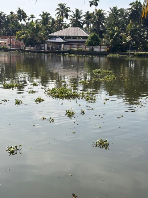 Alappuzha - 1420