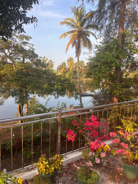 Alappuzha - 1420