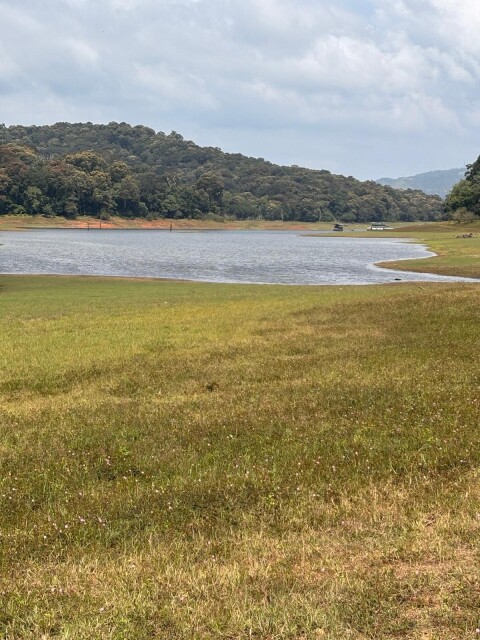 Periyer Tiger Reserve - 1422