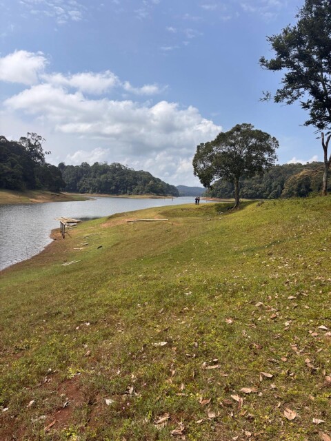 Periyer Tiger Reserve - 1422