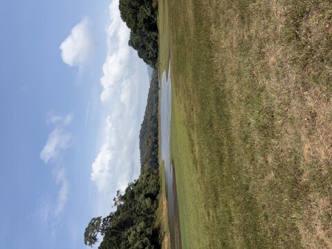Periyer Tiger Reserve - 1422