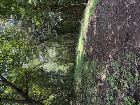 Periyer Tiger Reserve - 1422
