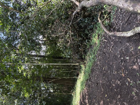 Periyer Tiger Reserve - 1422