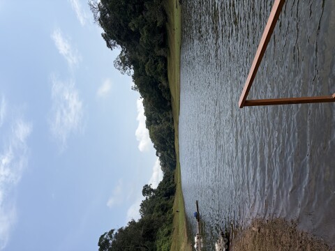 Periyer Tiger Reserve - 1422