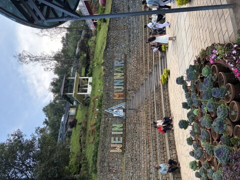 Munnar Botanical Garden - 1423