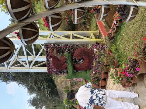 Munnar Botanical Garden - 1423