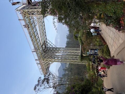 Munnar Botanical Garden - 1423