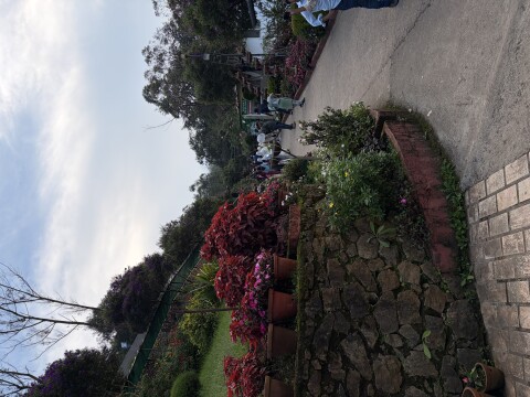 Munnar Botanical Garden - 1423