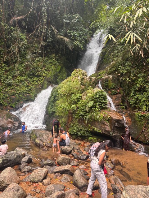 Anakulam Jeep Safari With Waterfall And Elephant - 1424