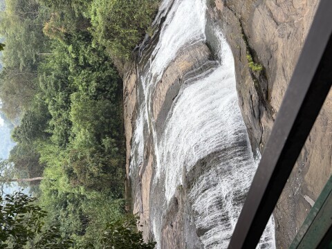 Anakulam Jeep Safari With Waterfall And Elephant - 1424