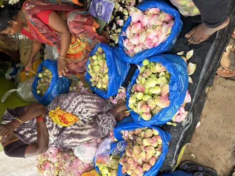 Fruit And Flower Markets - 1426