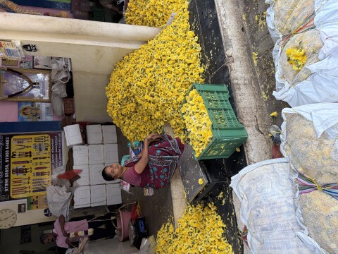 Fruit And Flower Markets - 1426