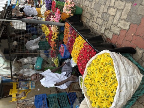 Fruit And Flower Markets - 1426