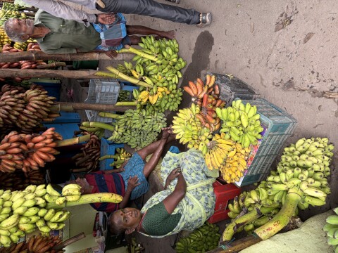 Fruit And Flower Markets - 1426