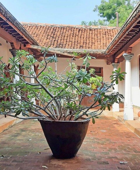 Saratha Villas - 1427