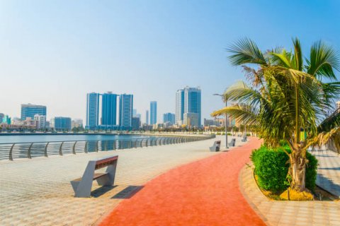 Ajman - 8 Great Reasons To Visit - 1152
